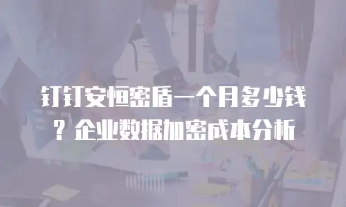 钉钉安恒密盾一个月多少钱？企业数据加密成本分析