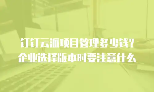 钉钉云派项目管理多少钱？企业选择版本时要注意什么