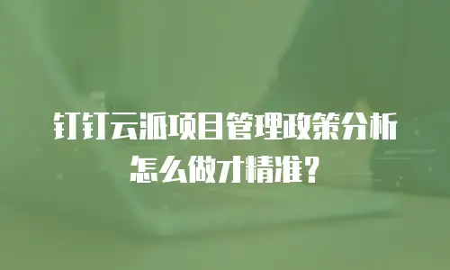 钉钉云派项目管理政策分析怎么做才精准？