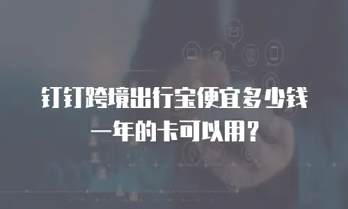 钉钉跨境出行宝便宜多少钱一年的卡可以用？