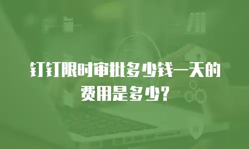 钉钉限时审批多少钱一天的费用是多少？