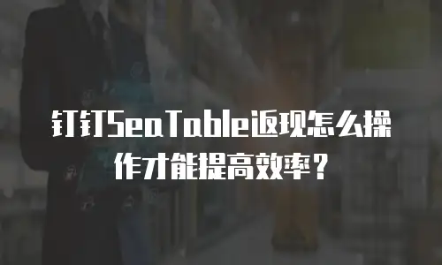 钉钉SeaTable返现怎么操作才能提高效率？