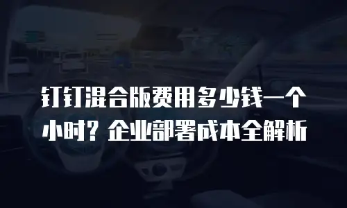钉钉混合版费用多少钱一个小时？企业部署成本全解析
