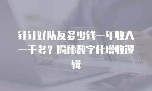 钉钉好队友多少钱一年收入一千多？揭秘数字化增收逻辑