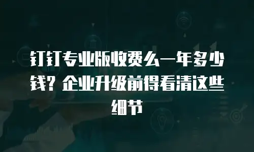钉钉专业版收费么一年多少钱？企业升级前得看清这些细节