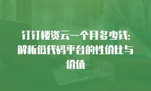钉钉楼资云一个月多少钱：解析低代码平台的性价比与价值