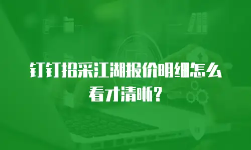 钉钉招采江湖报价明细怎么看才清晰？