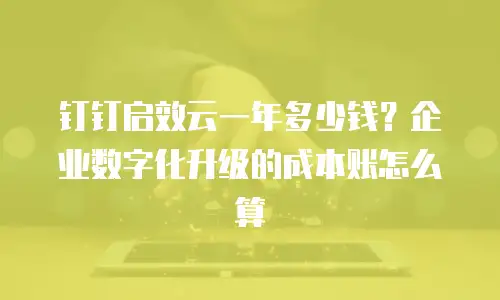 钉钉启效云一年多少钱？企业数字化升级的成本账怎么算
