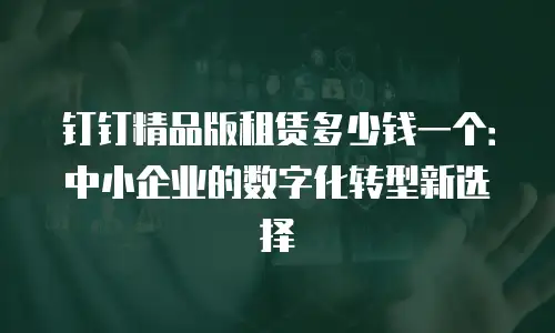 钉钉精品版租赁多少钱一个：中小企业的数字化转型新选择