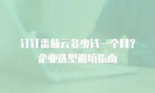 钉钉番茄云多少钱一个月？企业选型避坑指南