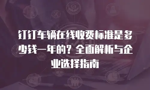 钉钉车辆在线收费标准是多少钱一年的？全面解析与企业选择指南