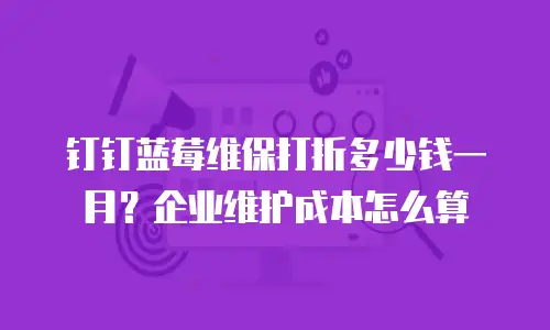 钉钉蓝莓维保打折多少钱一月？企业维护成本怎么算