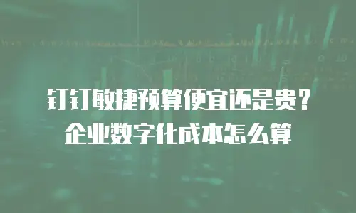 钉钉敏捷预算便宜还是贵？企业数字化成本怎么算