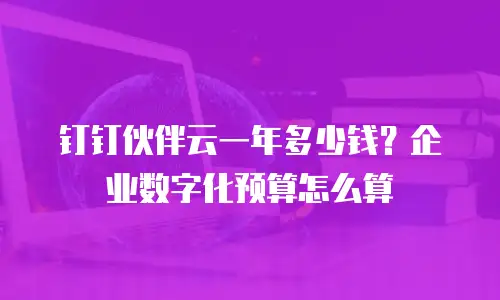 钉钉伙伴云一年多少钱？企业数字化预算怎么算