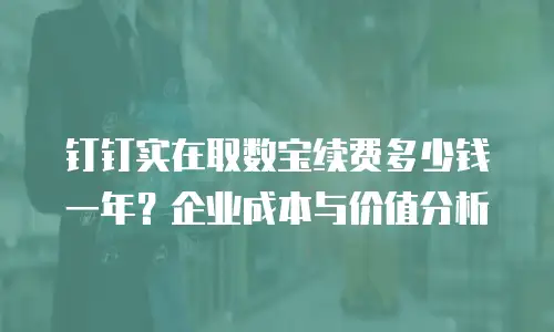 钉钉实在取数宝续费多少钱一年？企业成本与价值分析