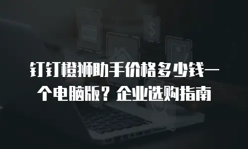 钉钉橙狮助手价格多少钱一个电脑版？企业选购指南