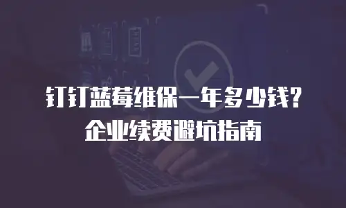 钉钉蓝莓维保一年多少钱？企业续费避坑指南