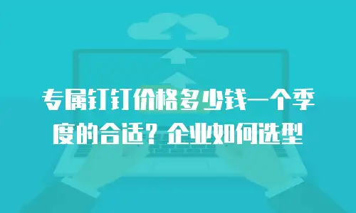 专属钉钉价格多少钱一个季度的合适？企业如何选型