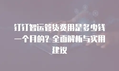 钉钉智运管货费用是多少钱一个月的？全面解析与实用建议