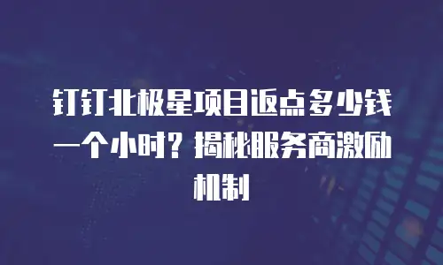 钉钉北极星项目返点多少钱一个小时？揭秘服务商激励机制