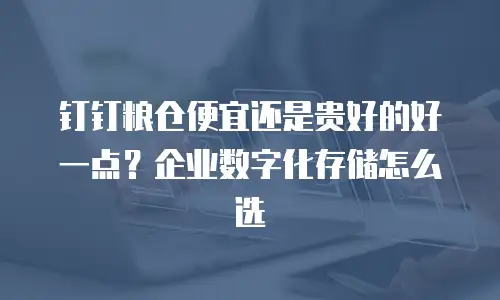 钉钉粮仓便宜还是贵好的好一点？企业数字化存储怎么选