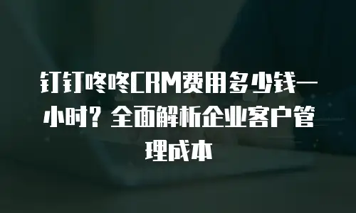 钉钉咚咚CRM费用多少钱一小时？全面解析企业客户管理成本