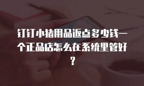 钉钉小猪用品返点多少钱一个正品店怎么在系统里管好？