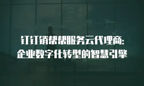 钉钉销帮帮服务云代理商：企业数字化转型的智慧引擎