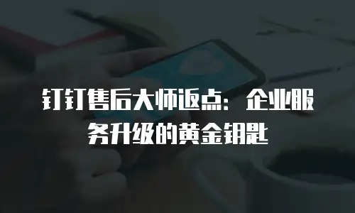 钉钉售后大师返点：企业服务升级的黄金钥匙