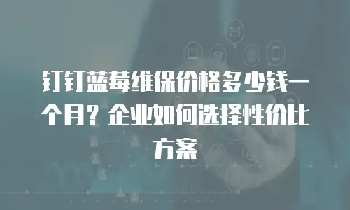 钉钉蓝莓维保价格多少钱一个月？企业如何选择性价比方案