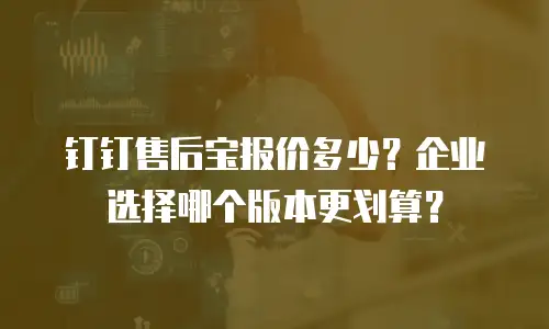 钉钉售后宝报价多少？企业选择哪个版本更划算？
