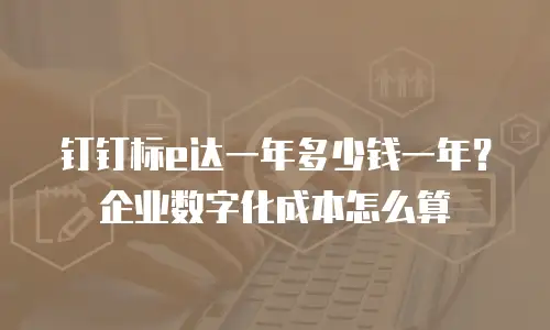 钉钉标e达一年多少钱一年？企业数字化成本怎么算