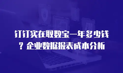 钉钉实在取数宝一年多少钱？企业数据报表成本分析