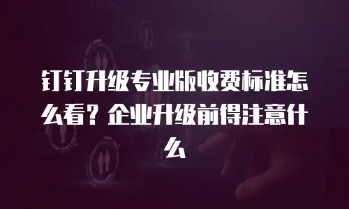 钉钉升级专业版收费标准怎么看？企业升级前得注意什么
