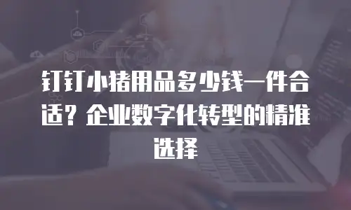 钉钉小猪用品多少钱一件合适？企业数字化转型的精准选择