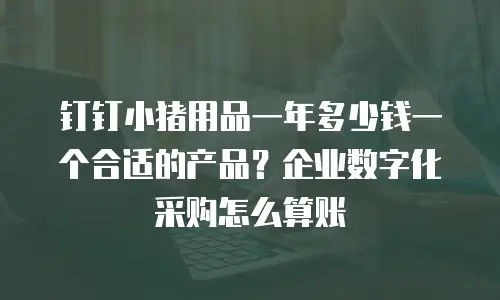 钉钉小猪用品一年多少钱一个合适的产品？企业数字化采购怎么算账
