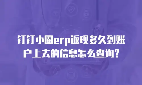 钉钉小圈erp返现多久到账户上去的信息怎么查询？