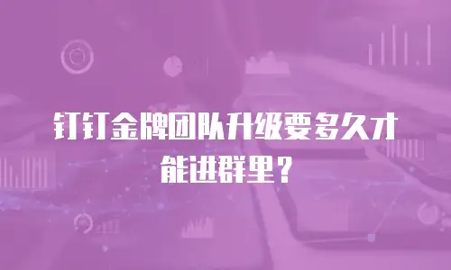 钉钉金牌团队升级要多久才能进群里？