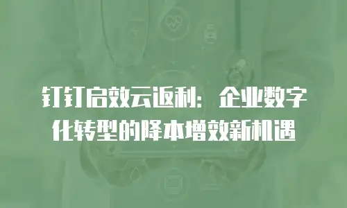钉钉启效云返利：企业数字化转型的降本增效新机遇