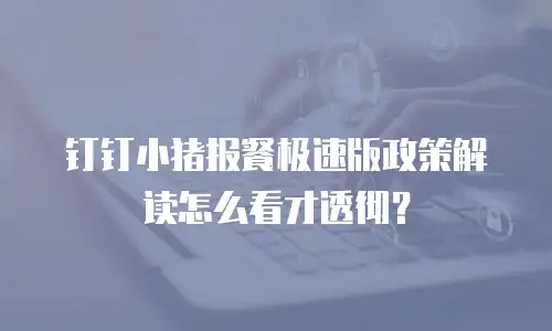 钉钉小猪报餐极速版政策解读怎么看才透彻？