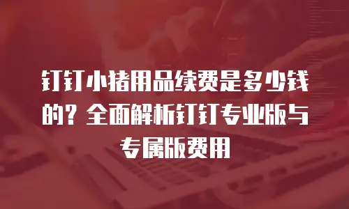 钉钉小猪用品续费是多少钱的？全面解析钉钉专业版与专属版费用
