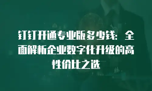 钉钉开通专业版多少钱：全面解析企业数字化升级的高性价比之选