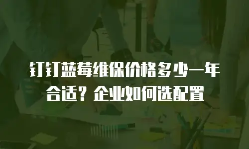 钉钉蓝莓维保价格多少一年合适？企业如何选配置