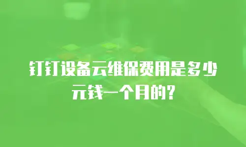 钉钉设备云维保费用是多少元钱一个月的？