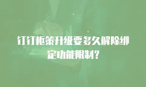钉钉枢策升级要多久解除绑定功能限制？