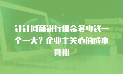 钉钉网商银行佣金多少钱一个一天？企业主关心的成本真相