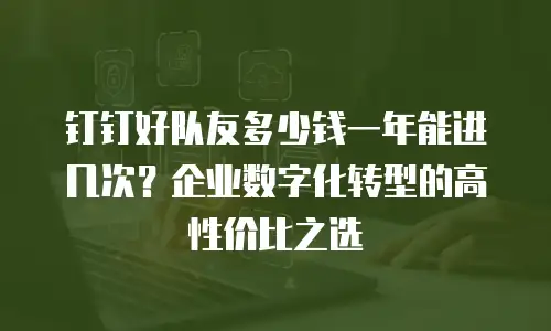 钉钉好队友多少钱一年能进几次？企业数字化转型的高性价比之选