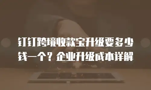 钉钉跨境收款宝升级要多少钱一个？企业升级成本详解
