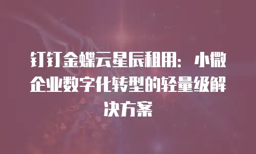 钉钉金蝶云星辰租用：小微企业数字化转型的轻量级解决方案