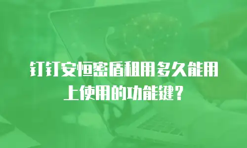 钉钉安恒密盾租用多久能用上使用的功能键？